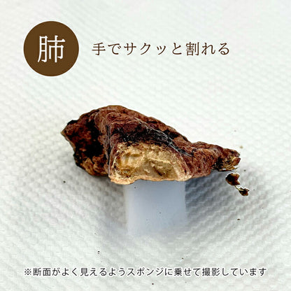 エゾシカ 肺 10g ルークラン