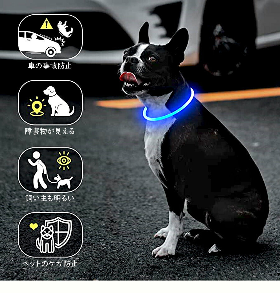 USB充電式の光る首輪 子犬 中型犬 お散歩にぴったり 発光 LED首輪