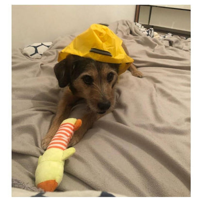雨カッパ 中型犬 レインコート 犬用レインコート ドッグウェア 雨合羽 いぬ 袖 雨合羽 大型犬 大型犬 防水 服 犬の服 雨具 犬のカッパ 夏服