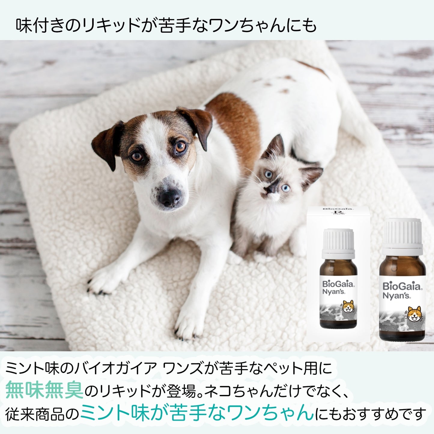 <a href="https://www.qoo10.jp/gmkt.inc/Search/brand.aspx?brandno=112140" target="_blank" class="title_brand" id="btn_brand" title="BioGaia">BioGaia</a>【公式ストア 即日発送】ニャンズ Nyans 10ml（猫用 犬にも使用可）無味無臭 リキッド サプリメント 口臭 便秘
