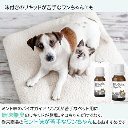 <a href="https://www.qoo10.jp/gmkt.inc/Search/brand.aspx?brandno=112140" target="_blank" class="title_brand" id="btn_brand" title="BioGaia">BioGaia</a>【公式ストア 即日発送】ニャンズ Nyans 10ml（猫用 犬にも使用可）無味無臭 リキッド サプリメント 口臭 便秘