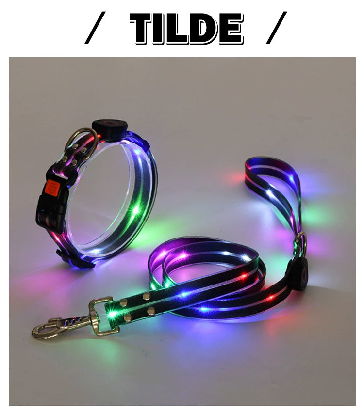 【送料無料】犬 リードセット 光る ペット用 首輪 リード LED光るリード 光る首輪 光るリード　USB充電式 サイズ調整可能 リード長さ120cm 夜間散歩 柔らかい 無臭 夜散歩ライト 軽量 対