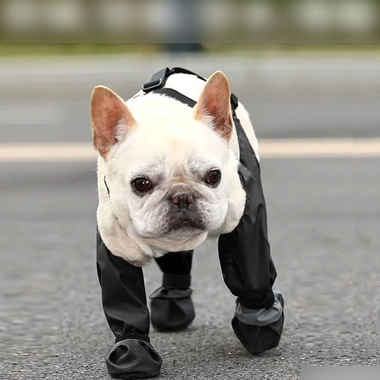 キャンペーン犬用レッグカバー レインシューズ 脱げない 犬 靴 梅雨用 レインシューズカバー 滑りにくい 脱げない 犬用レッグカバー レギンス 犬用シューズ 犬 犬の靴 汚れ防止 肉球保護 雨用ブーツ
