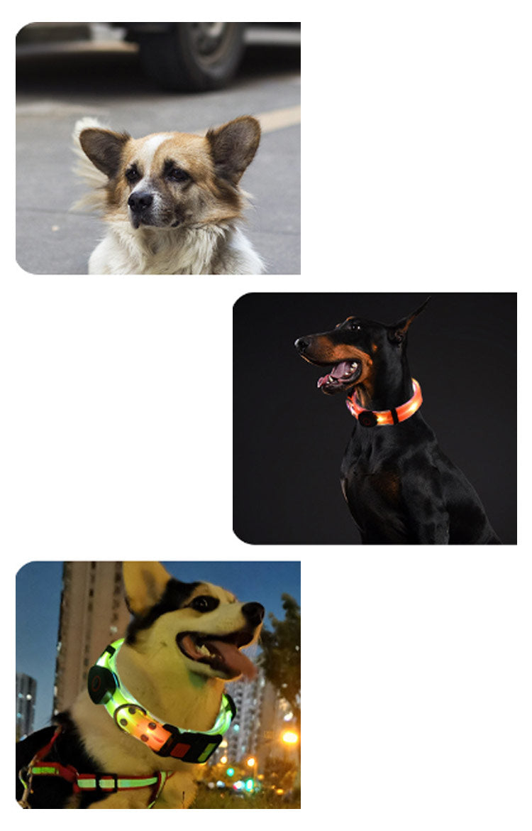 【送料無料】犬 リードセット 光る ペット用 首輪 リード LED光るリード 光る首輪 光るリード　USB充電式 サイズ調整可能 リード長さ120cm 夜間散歩 柔らかい 無臭 夜散歩ライト 軽量 対