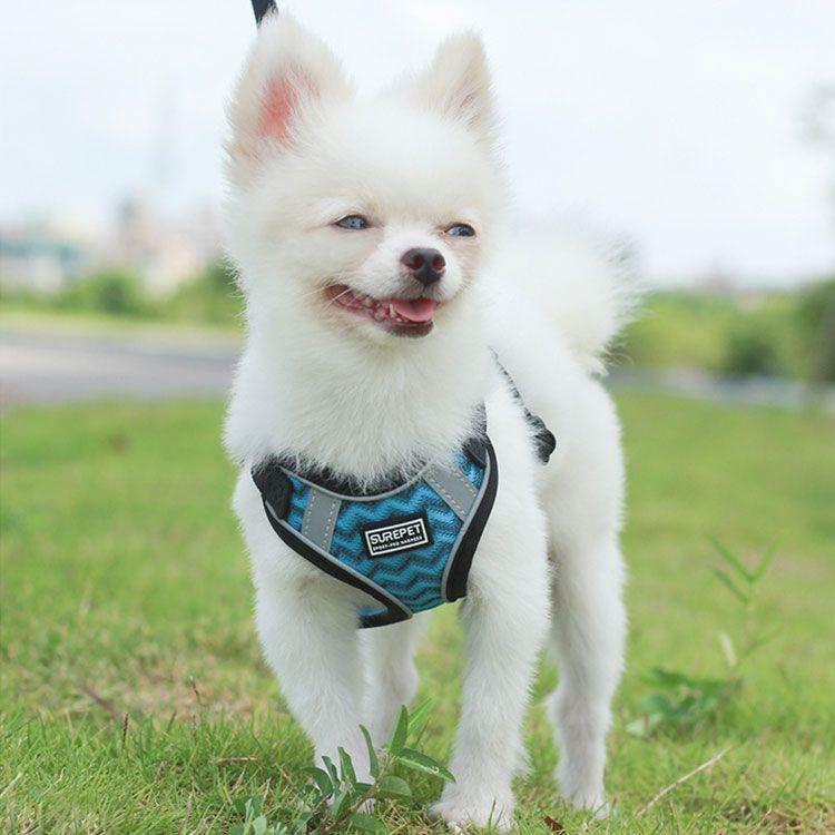 新商品プロモーション，数量限定 ペット用 犬用 ハーネスとリード２点セット 簡単着脱 マジックテープ式８種 全8種　犬用型ハーネス＆リード しつけ 歩行補助 リードコンペット用 犬用