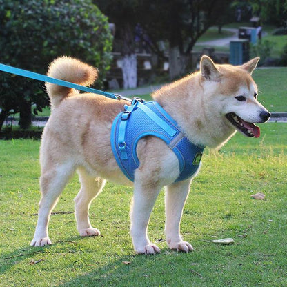 犬ウェアハーネス リードセット ネコ ワンちゃん 大人気 上品 全サイズ リードメッシュハーネス 愛犬 反射板 散歩 安心 マジックテープ
