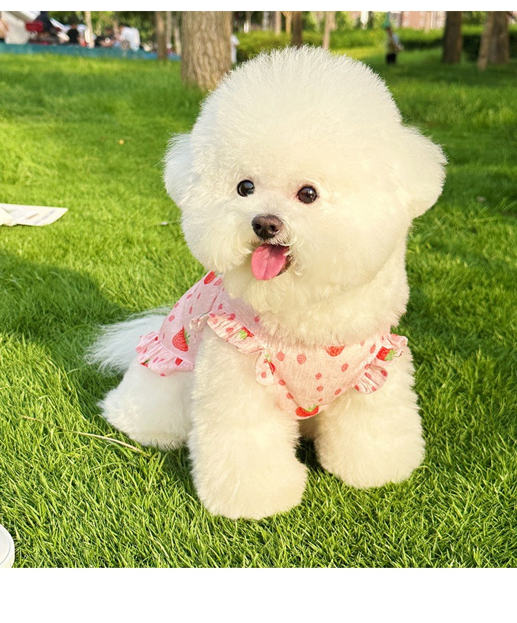 [犬 服]犬 洋服 ins人気商品 夏のペットの犬の服軽量で通気性の抗脱毛猫