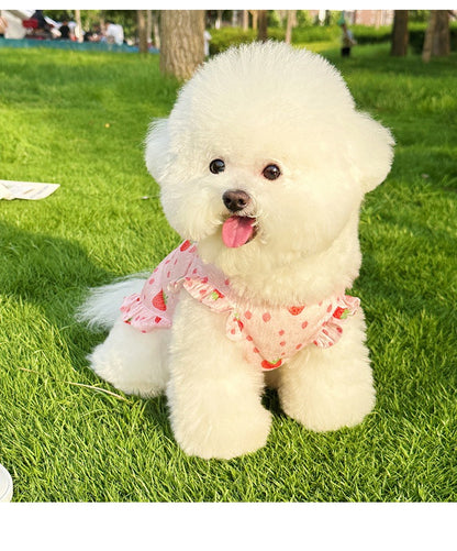 [犬 服]犬 洋服 ins人気商品 夏のペットの犬の服軽量で通気性の抗脱毛猫