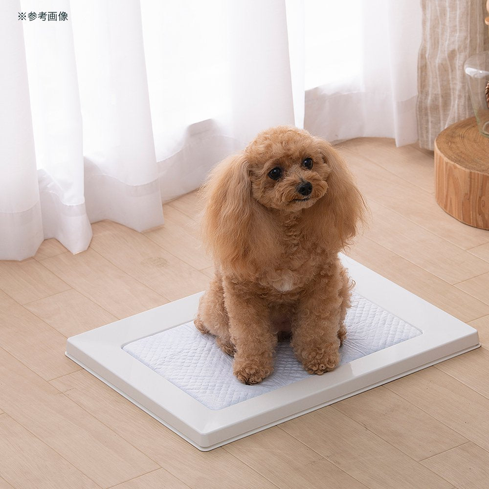 <a href="https://www.qoo10.jp/gmkt.inc/Search/brand.aspx?brandno=49458" target="_blank" class="title_brand" id="btn_brand" title="アイリスオーヤマ">アイリスオーヤマ</a>スクエアドッグトレー　レギュラー　ＳＱＤＴ－４８２Ｒ　ホワイト　犬　トイレ　ＣＲＣ40―30―05―10―00