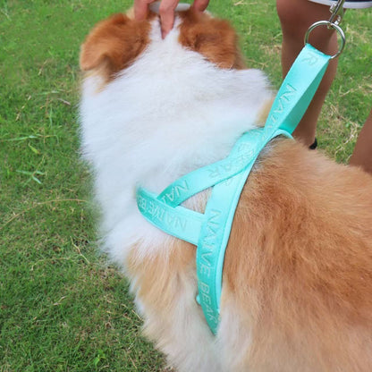 犬牽引ロープベストサドルペット防爆ペット犬ストラップ中小型熊テディコーキ外出通用 メガ割ワンピースパンツトートバッグ