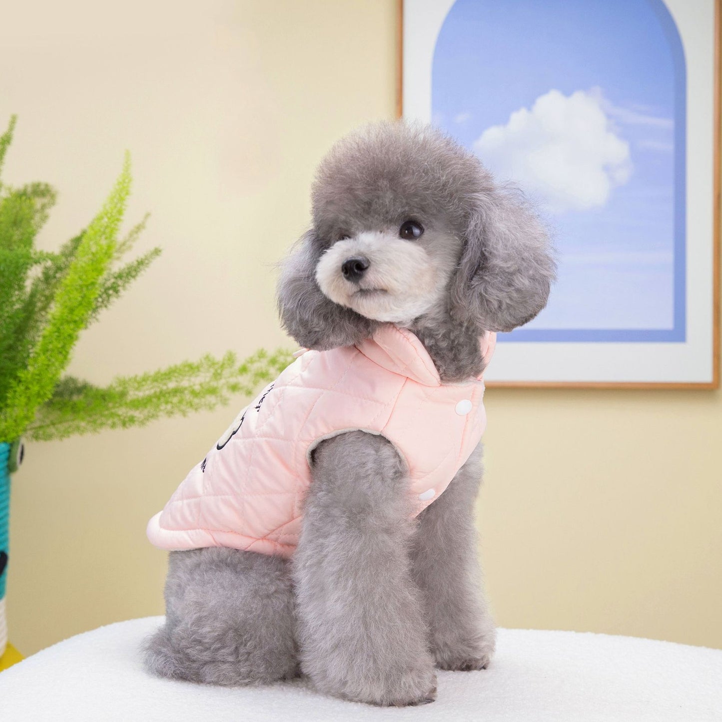 猫 犬 洋服 犬服 ペット服 大中小型犬 ペット用品 犬/猫用 犬の服 ペットウエア 小型犬 中型犬 通気 可愛い ドッグウェア トレーナー 犬 服 ワンピース サロペット ビションフリーゼ 犬猫服