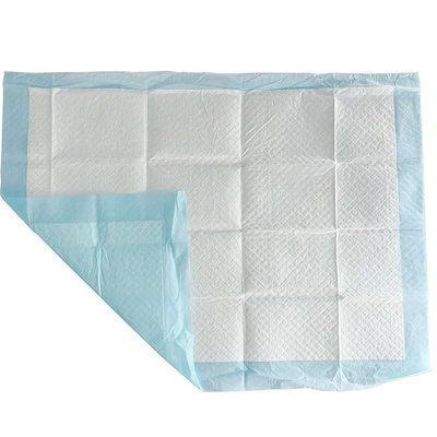 【急速出荷!】【本日限定】ペットシーツ 薄型 レギュラー 100枚 ワイド 50枚 スーパーワイド 20枚 業務用 トイレシート ペット シーツ 犬 猫