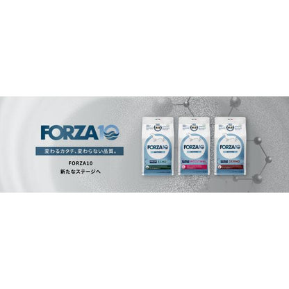 Forza10 アクティウェット デルモサポート 皮膚被毛ケア サーモン&地中海の白身魚 パテ 100gx6個 ドッグフード 犬 餌 フォルツァ10