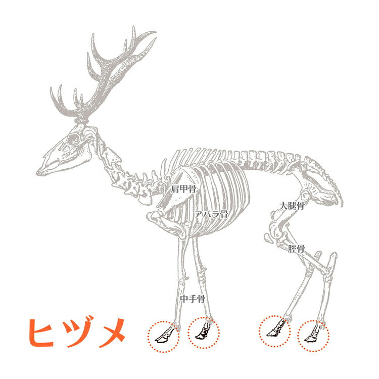 エゾシカ ヒヅメ 4個入 ルークラン