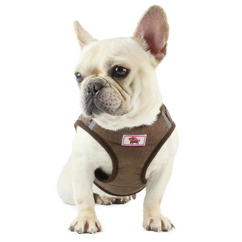 沸騰新柄追加 犬 ハーネス 犬ハーネス 犬用ハーネス 犬のハーネス おしゃれ かわいい リード 子犬 小型犬 中型犬 脱げない 犬ハーネスリードセット ドレスハーネスquma
