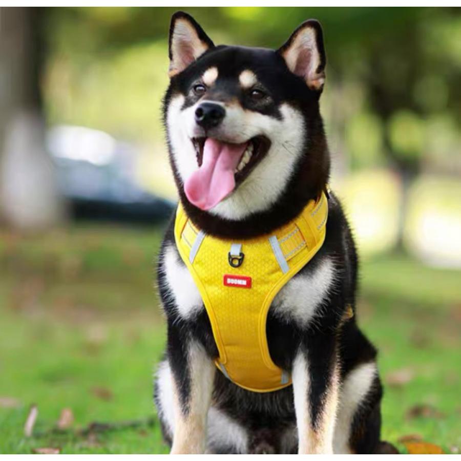 ステップハーネス ロック 大型犬 抜けない M 介護用 柴犬 小型犬 抜けにくい 犬 XS ハーネス ハンドル付き 中型犬 ウェアハーネス S L 負担の少ない
