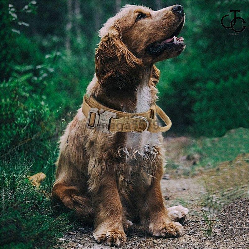 犬 首輪 カラー 犬用 首輪 軽い 半額 中型犬 大型犬 大型犬 小型犬 おしゃれ 痛くない 丈夫