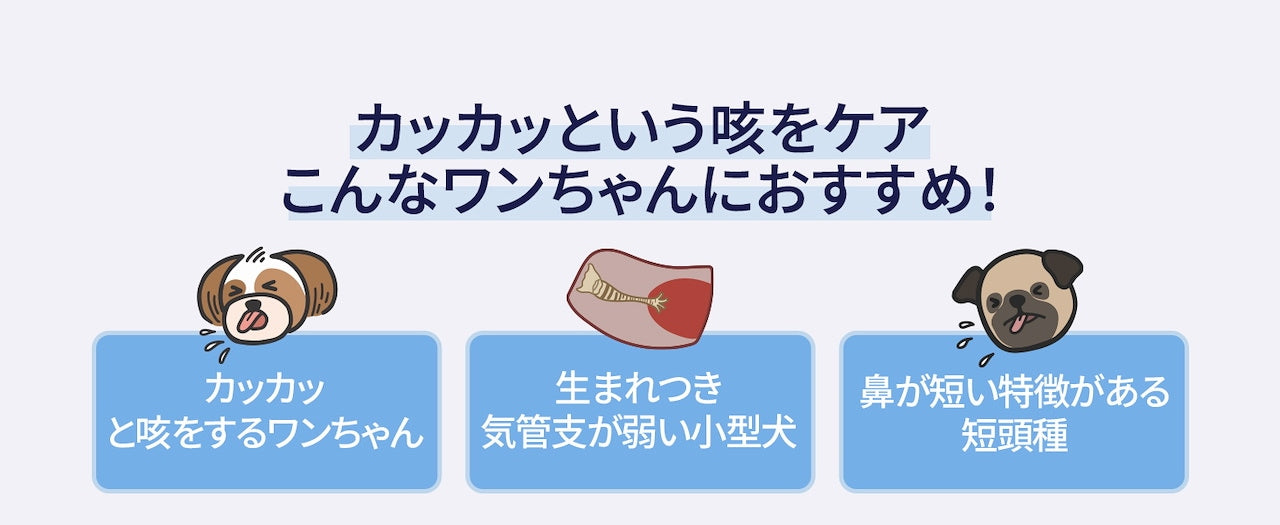 <a href="https://www.qoo10.jp/gmkt.inc/Search/brand.aspx?brandno=120824" target="_blank" class="title_brand" id="btn_brand" title="ドクターバイ">ドクターバイ</a>[公式]ブレス犬気管支サプリメント咳風邪気管虚脱カッカッ免疫力日本特許成分「TF-343」30本 (240g)