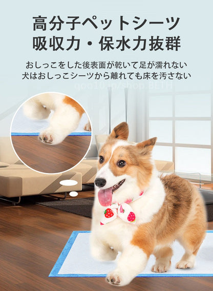 ペットシーツ 厚型 超吸収 抗菌 消臭 トイレシート 犬用品 使い捨て スーパーワイド 吸水シート 防水シーツ トイレシーツ ペット用 ペットシート 犬 猫