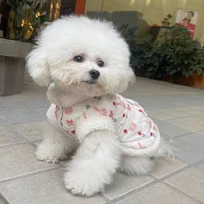 秋冬の犬服 テディボーミペットのコキシナレビーベア愛らしい 犬猫服秋冬服 パープル セーター 可愛らしい 暖かい野球服 冬アウター