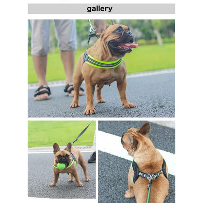 新商品プロモーション，数量限定 犬 ハーネス リード 付 ペット 胴輪 ふっくら生地 服 反射 キャット ドッグ メッシュ ドッグウェア 小型犬 大型犬 中型犬犬 ハーネス