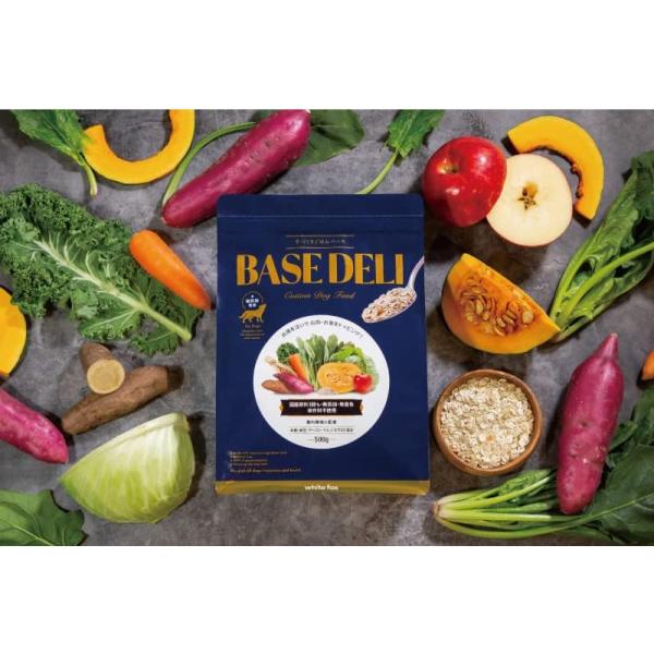 white fox ホワイトフォックス BASE DELI ベースデリ 500g 手づくりごはんベース