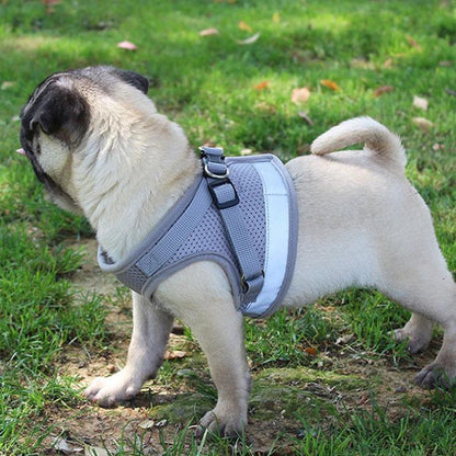 ペットグッズ 犬用品 首輪胴輪 リード ハーネスリード 犬 猫 ハーネス 新品 大人気 小型犬 中型犬 猫用 ネコ ウェアハーネス 犬ハーネス 抜けない