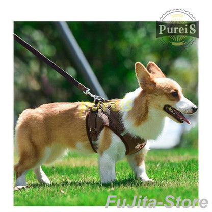 人気商品,犬 ハーネス リード付 ペット服 ウェアハーネス 胴輪 キャット ドッグ メッシュ 一体型 胸あて式 軽量 調節可能 犬用 小型犬 ペット用品 猫用首輪 猫/犬 可愛い