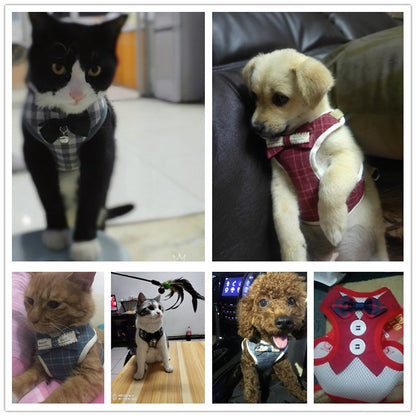 【3日以内に出荷】ハーネス 犬 リード付 ペット ソフトハーネス 胴輪 メッシュ素材 ベスト 小型犬 中型犬 大 ペット