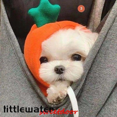 犬 服 フード 生地 暖かいドッグウェア パーカー クリスマス 仮装 りんご にんじん バナナ ペット服 ペット 犬 犬服 犬用 小型犬 コスチューム 秋冬 冬