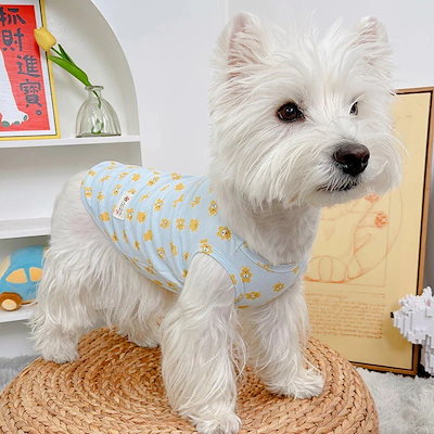春夏新作 犬服 ペット服 犬 洋服 ペット 犬用品 小中型犬 犬服春秋モデル猫ベスト夏子犬春秋