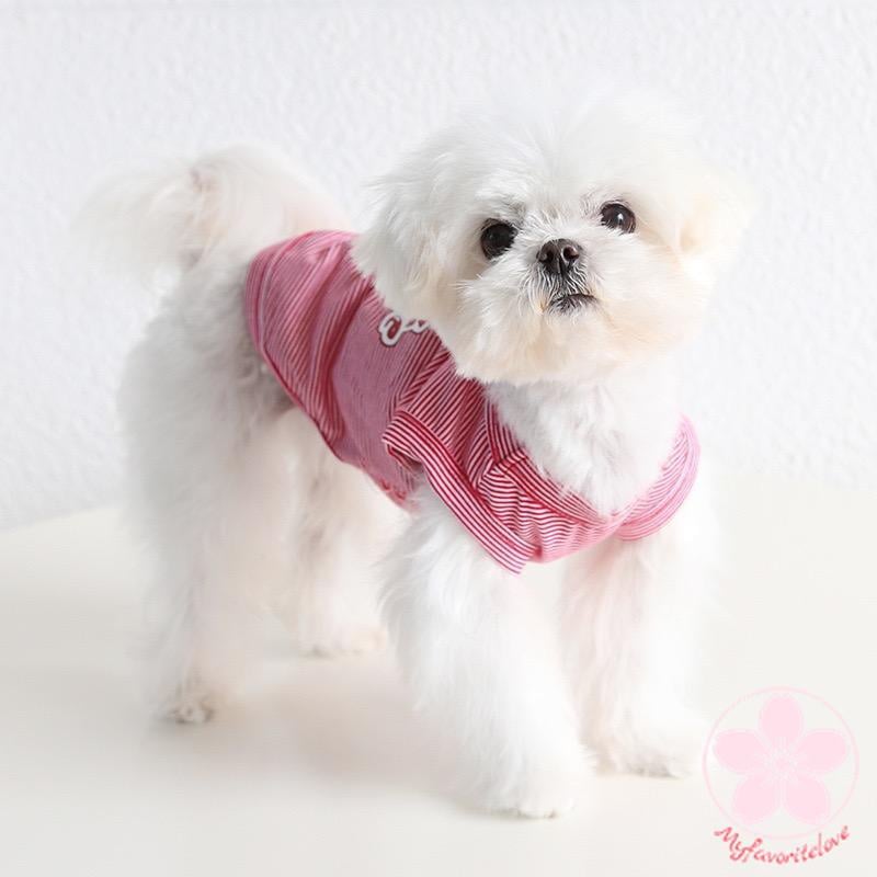 新入庫 ペット 服 安い 犬 春 夏 秋 さくらんぼ 柄 ボーダー タンクトップ ワンピース かわいい 可愛い ハイブランド 猫 ドッグウェア