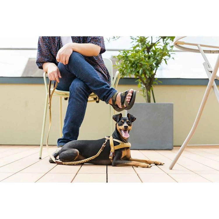 【人気商品】EZ ゼロショックライト 120cm