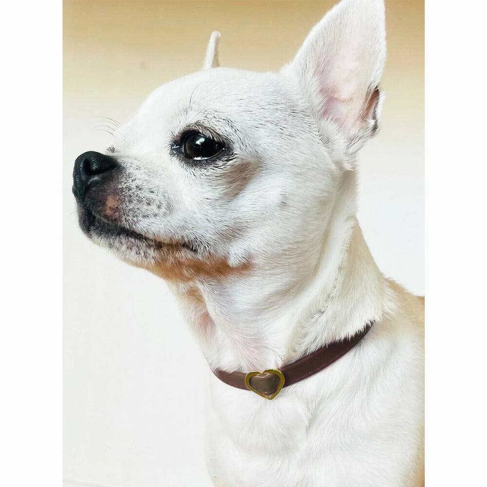 <a href="https://www.qoo10.jp/gmkt.inc/Search/brand.aspx?brandno=121124" target="_blank" class="title_brand" id="btn_brand" title="MELODY ACCESSORY">MELODY ACCESSORY</a>犬用 ネックレス ドッグアクセサリー 日本製 首輪 チョーカー 送料無料 調節可能 犬 いぬ ねこ 猫 ペット シンプル 小型犬 中型犬 かわいい おしゃれ トイプードル