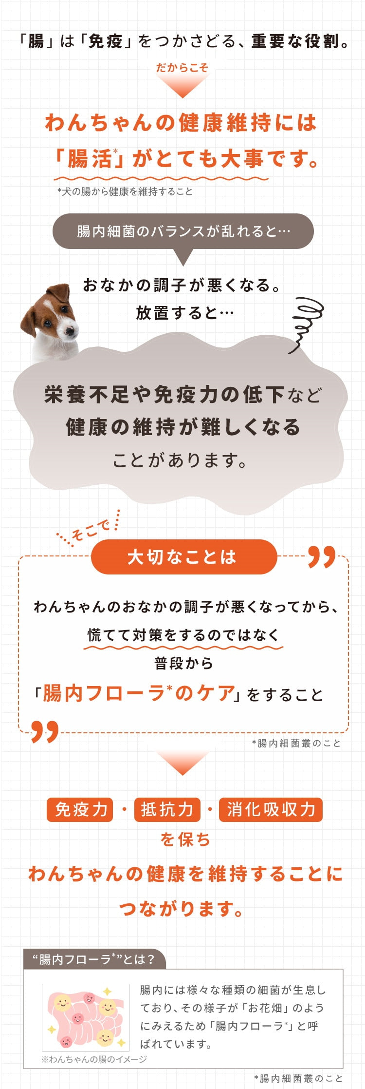 <a href="https://www.qoo10.jp/gmkt.inc/Search/brand.aspx?brandno=62316" target="_blank" class="title_brand" id="btn_brand" title="大正製薬">大正製薬</a>【公式】大正製薬 わんビオフェルミンS 40g 犬 サプリ サプリメント 腸活 免疫力 健康維持 ビフィズス菌 乳酸菌 犬サプリ イヌ 犬用 ペット 腸活サプリ 無添加 ふりかけ 粉 腸内環境
