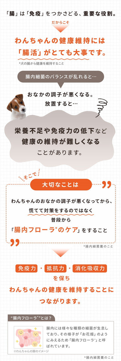 <a href="https://www.qoo10.jp/gmkt.inc/Search/brand.aspx?brandno=62316" target="_blank" class="title_brand" id="btn_brand" title="大正製薬">大正製薬</a>【公式】大正製薬 わんビオフェルミンS 40g 犬 サプリ サプリメント 腸活 免疫力 健康維持 ビフィズス菌 乳酸菌 犬サプリ イヌ 犬用 ペット 腸活サプリ 無添加 ふりかけ 粉 腸内環境