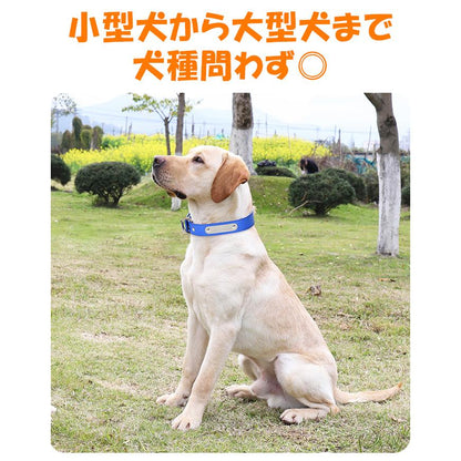 ペット用品 迷子札 ドックタグ 首輪 ネーム入り迷子札チョーカー 高級な質感 お散歩 お出かけ 安心 ネームタグ 名入れ ネーム入れ 刻印 名札