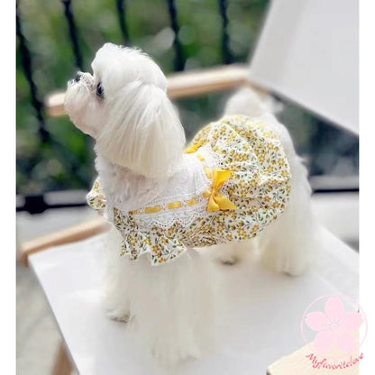 万能流行感 ペット 服 安い 犬 春 夏 ２色 付き 花柄 ワンピース かわいい 可愛い ハイブランド 猫 ドッグウェア