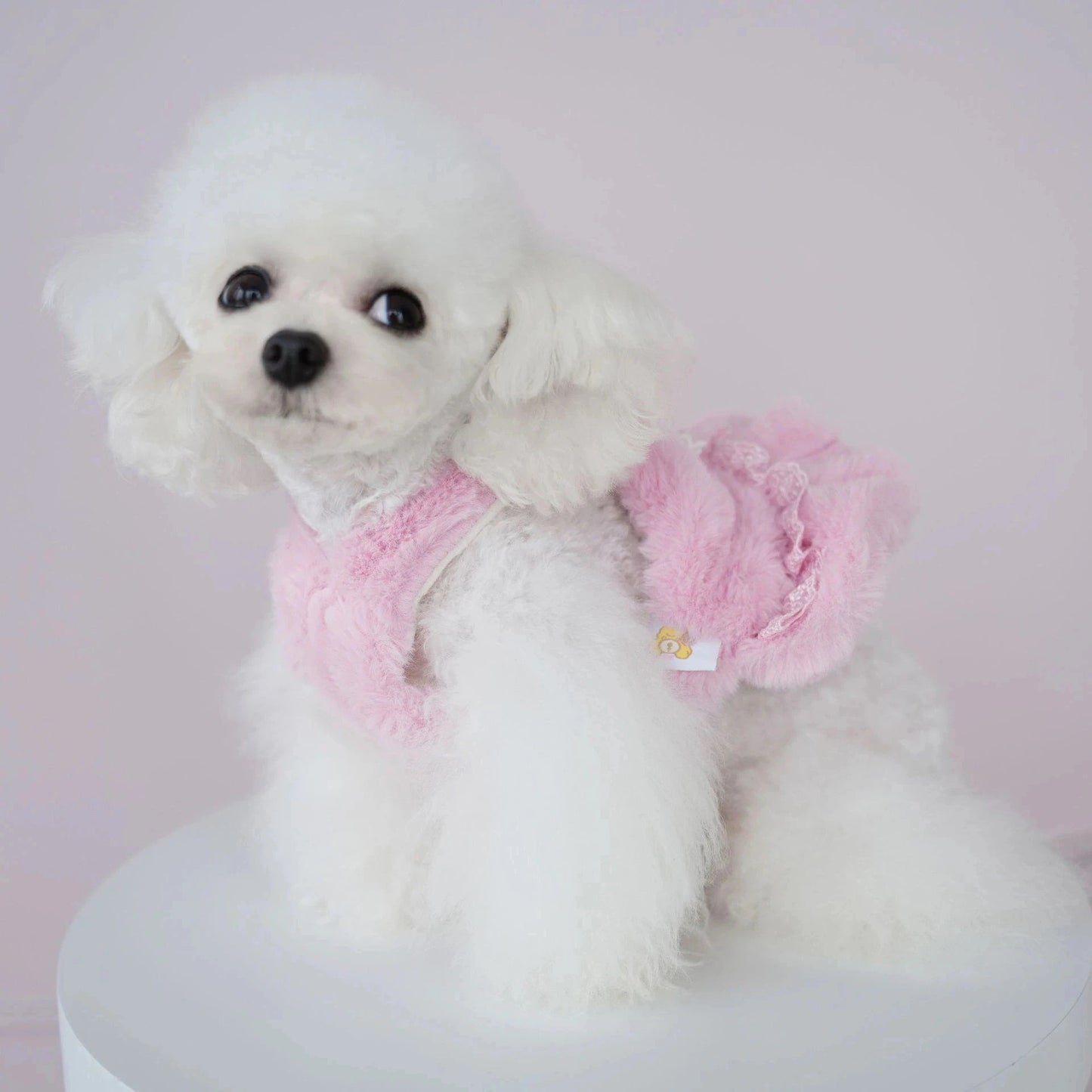 犬の服ペット犬秋冬モデル模造ウサギ毛ホルタードレス猫コールドコート クマテディコート