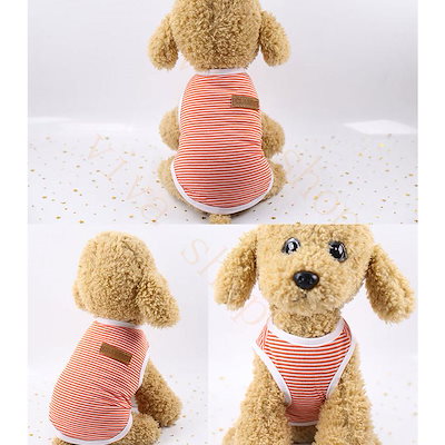 新品 大人気 二枚セット キャットウェア ドッグウエア 犬服 猫服 ペット服 ペットウエア 犬 猫 愛犬 ペット ペット用品 ボーダー柄 パーカー ジャケット