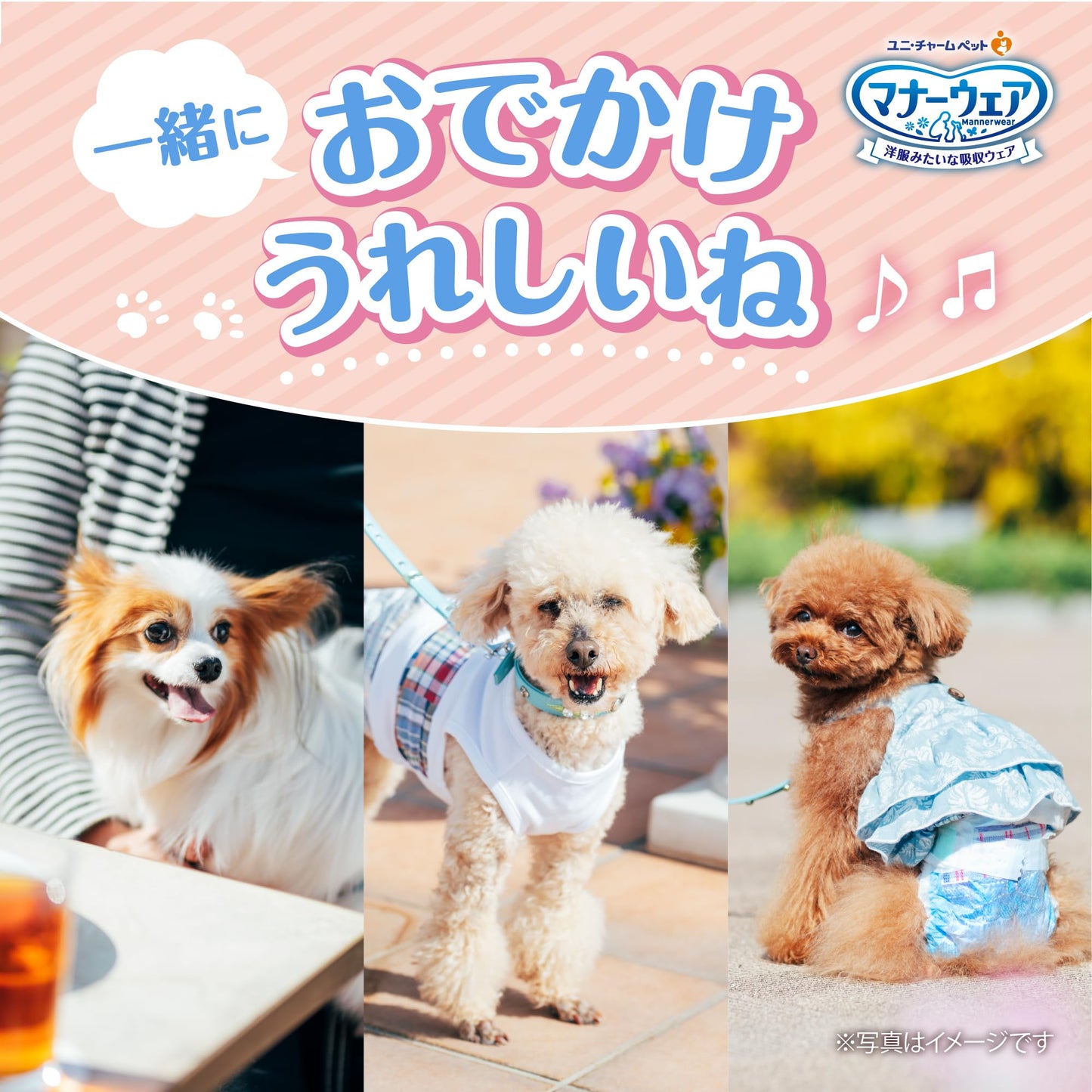 <a href="https://www.qoo10.jp/gmkt.inc/Search/brand.aspx?brandno=124379" target="_blank" class="title_brand" id="btn_brand" title="マナーウェア">マナーウェア</a>マナーウェア 男の子用 SSSSサイズ 青チェック・紺チェック 52枚入×2個セット 犬 SSSS