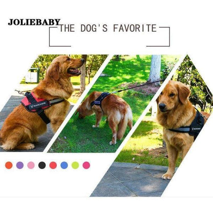 犬用ハーネスリード 牽引ロープ リードセット 犬 猫 ペット牽引縄 ドッグリード 小型犬 中型犬 大型犬 引っ張り防止 ペット用品 ハーネス 胸あて式 お散歩グッズ