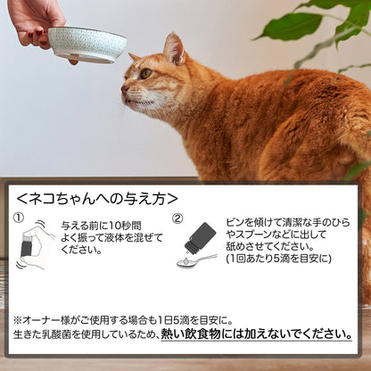 <a href="https://www.qoo10.jp/gmkt.inc/Search/brand.aspx?brandno=112140" target="_blank" class="title_brand" id="btn_brand" title="BioGaia">BioGaia</a>【公式ストア 即日発送】ニャンズ Nyans 10ml（猫用 犬にも使用可）無味無臭 リキッド サプリメント 口臭 便秘