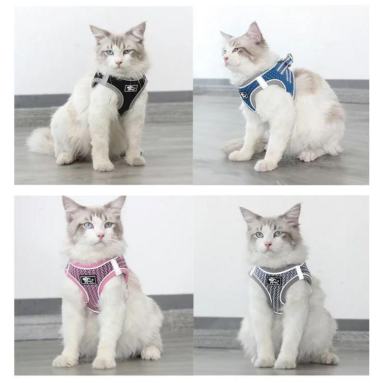 新商品プロモーション，数量限定 セラー犬 ハーネス リード付 ペット 服 ハニカムメッシュ ウェアハーネス 胴輪 キャット ドッグ メッシュセラー犬 ハーネス
