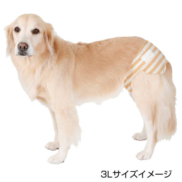 <a href="https://www.qoo10.jp/gmkt.inc/Search/brand.aspx?brandno=66334" target="_blank" class="title_brand" id="btn_brand" title="ペティオ">ペティオ</a>犬用オムツ ずっとね 介護から生まれた紙おむつ 4L 8枚 大型犬 35kg W26866