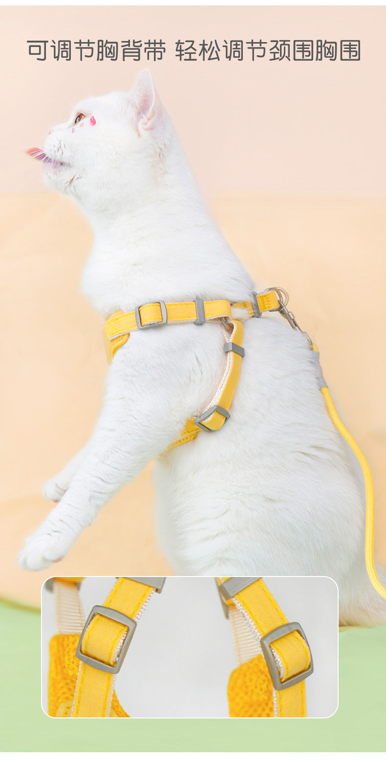 シンプル 犬用 ハーネス ペットハーネス お散歩 簡単装着 おしゃれ ネコ用ハーネス 67 ペット用品 ハーネスリードセット 胴輪 猫用 犬 2点セット お出かけ 小型犬 中型犬 犬用ハーネス リード
