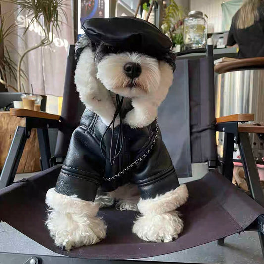 秋冬の犬服 テディボーミペットのコキシナレビーベア秋 暖かい可愛らしい 暖かい野球服 冬アウター中小型犬猫の綿の服です