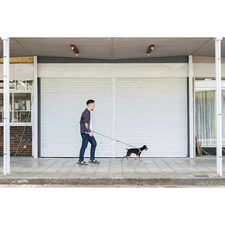 【人気商品】EZ リード ロードランナーライト コーデュロイ EZYDOG