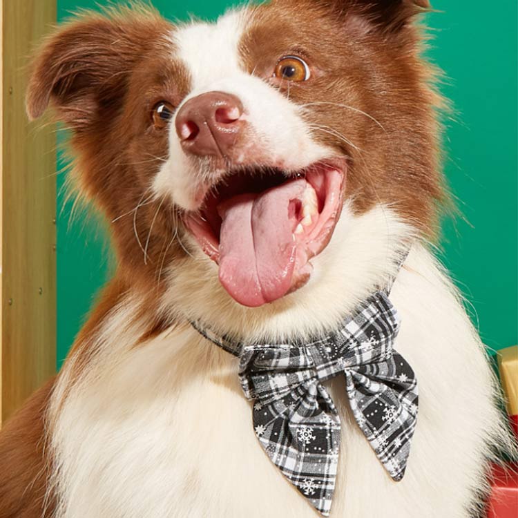 ペット 首輪 犬 首輪 クリスマス リボン 小型犬 中型犬 大型犬 S M L 猫用 犬用 お散歩 お出掛け かわいい おしゃれ ペット用品 可愛い SNS映え インスタ映え 写真撮影 首輪 赤 レッ