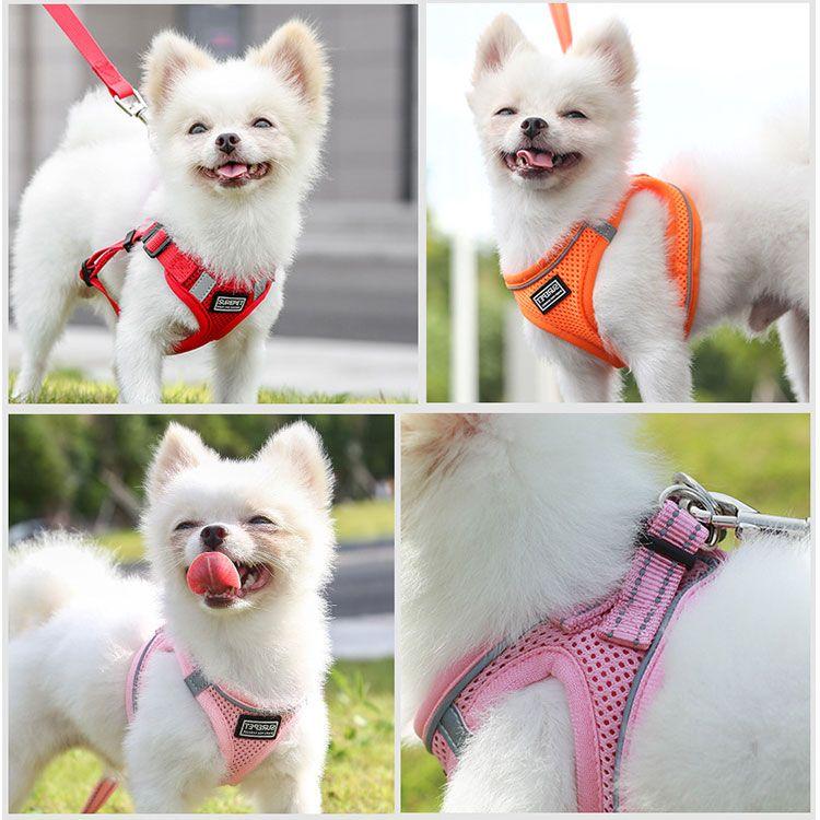 新商品プロモーション，数量限定 ペット用 犬用 ハーネスとリード２点セット 簡単着脱 マジックテープ式８種 全8種　犬用型ハーネス＆リード しつけ 歩行補助 リードコンペット用 犬用